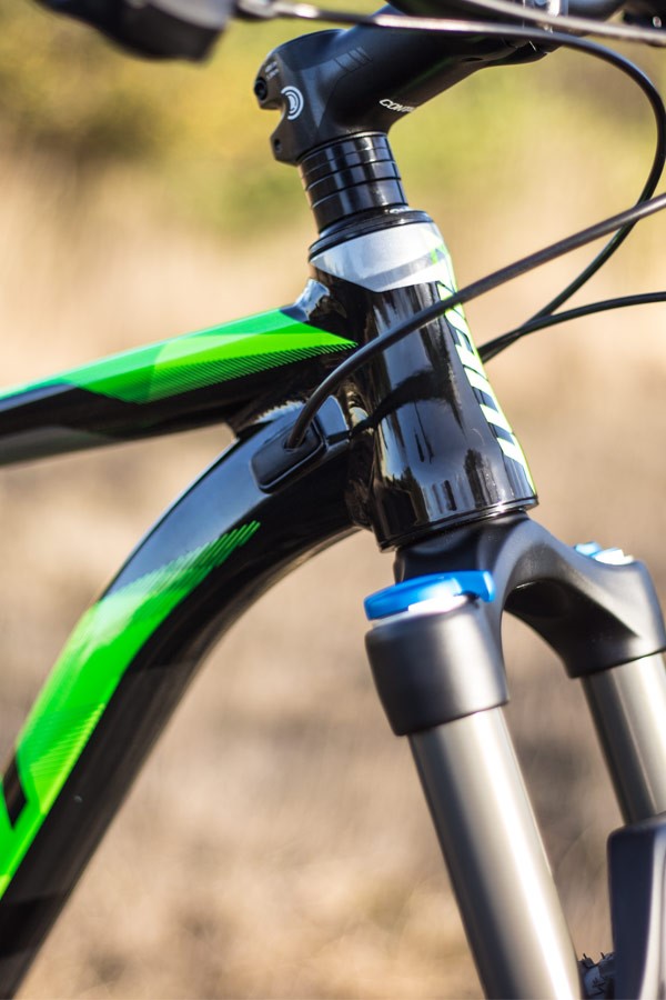 Giant Anthem 2017 front fork