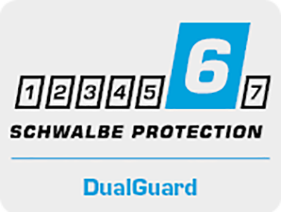 Dualguard