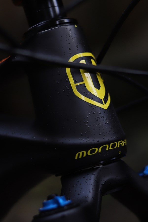 Mondraker Foxy Cabon 29 head tube