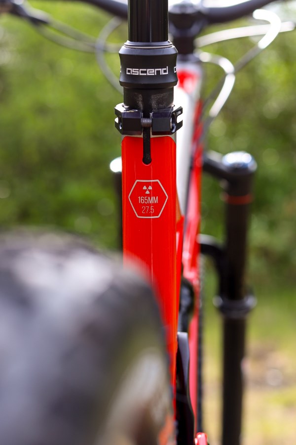 Nukeproof Mega frame detail