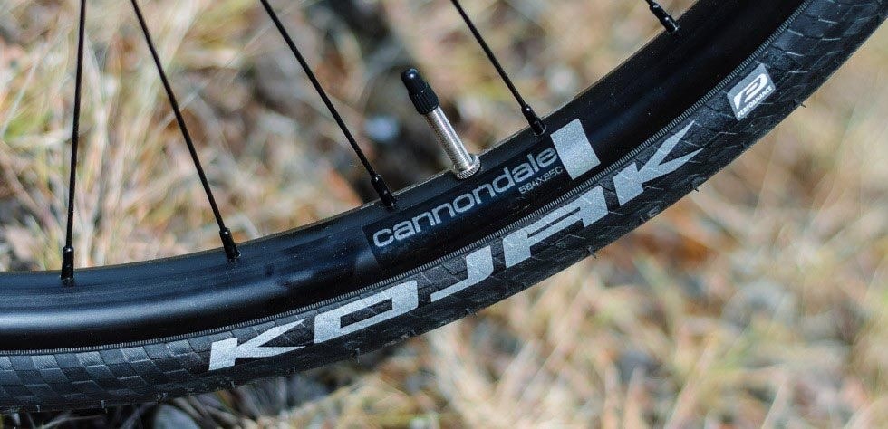 Cannondale Bad Boy Wheels