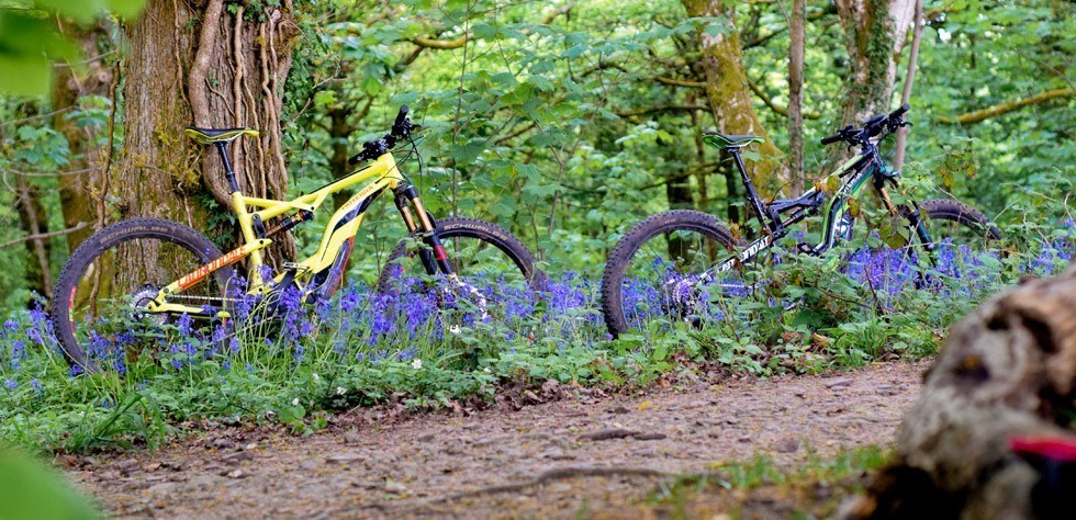 Cannondale Moterra Electric Mountain Bike Best For