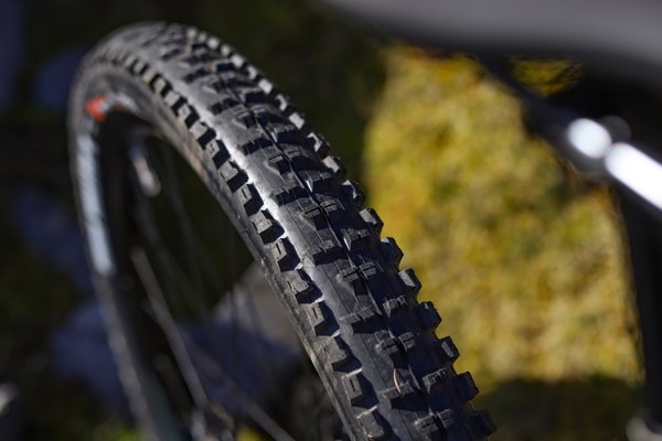 Cannondale Habit Maxxis High Roller tyre tread