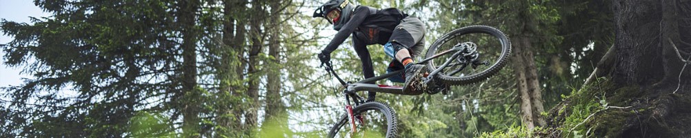 A mountain biker jumping on a trail in loamy woodland