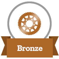 bronze servicing graphic