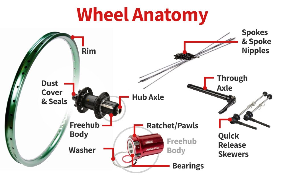 Anatomy of a wheel