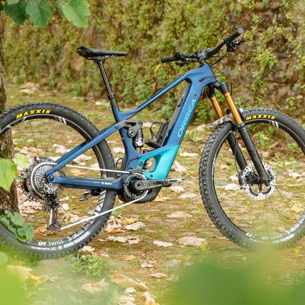 Photo of Orbea Wild FS in woods