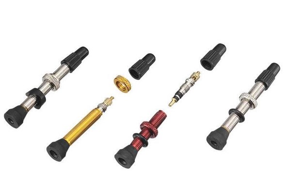 Tubeless valves