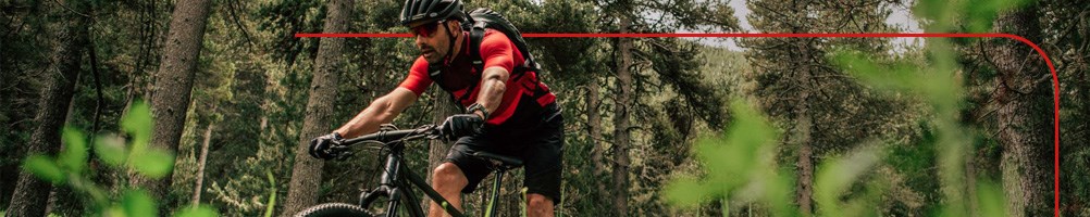 A mountain biker riding through a forest