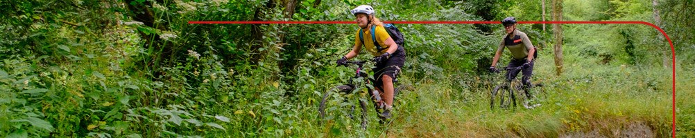 Mountain bikers riding through a forest