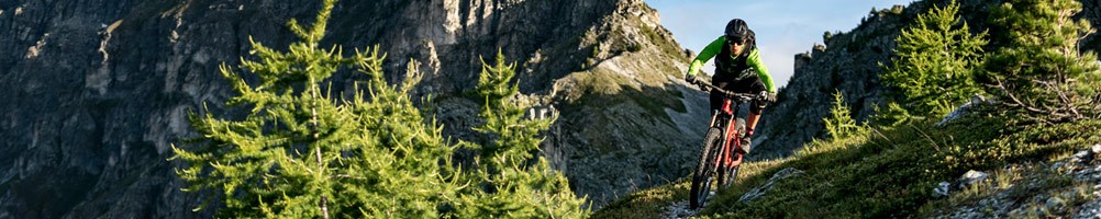 Mountain bikers on alpine trail