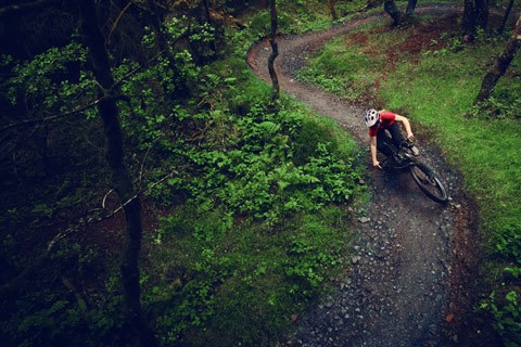 Mountain biker descending a trail