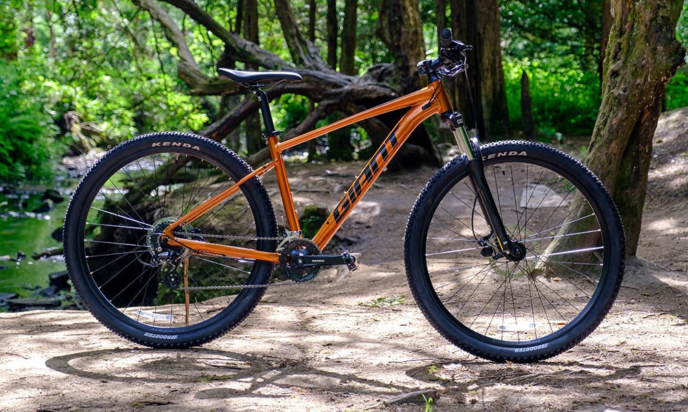 Giant Talon hardtail MTB by a lake