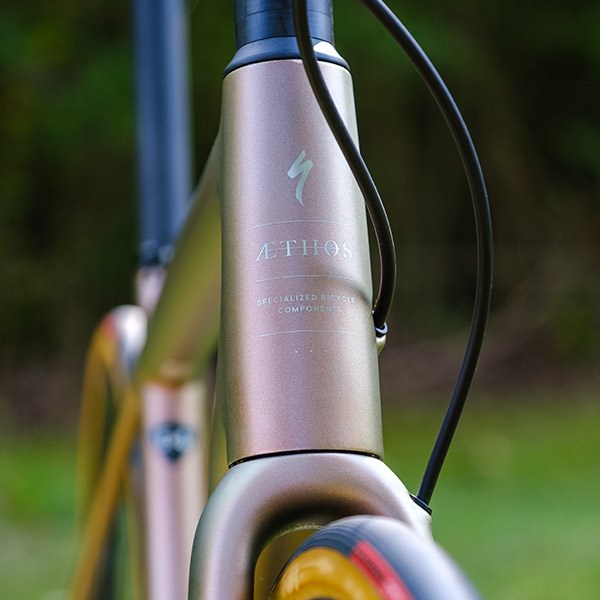 Specialized Aethos head tube detail