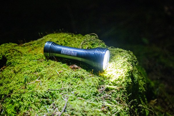 Exposure Zenith tree stump moss night