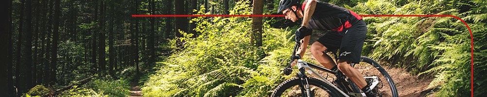 Trail Mountain Bikes - What To Look For