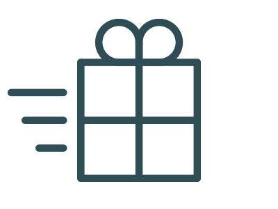 Delivery In Time For Christmas >