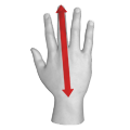 hand length