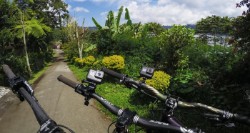 Handlebar / Seatpost / Pole Mount image 4