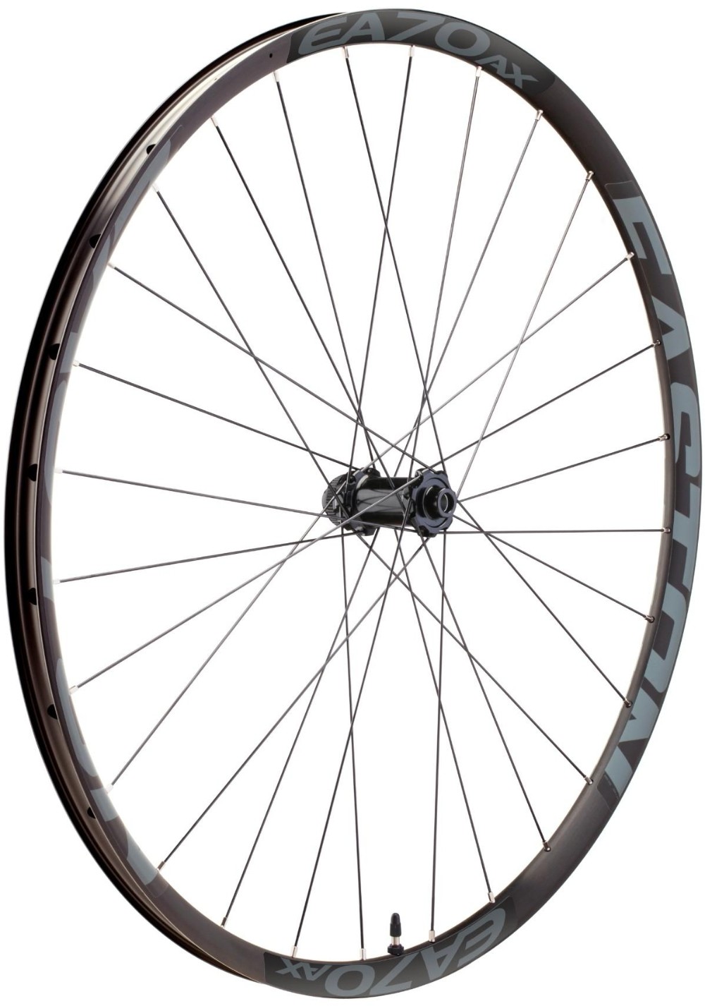 EA70 AX Clincher Disc Front 650B Wheel image 0