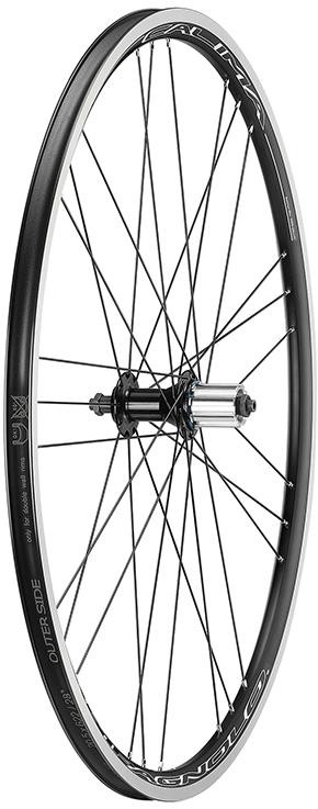 Campagnolo Calima C17 Rear Wheel product image
