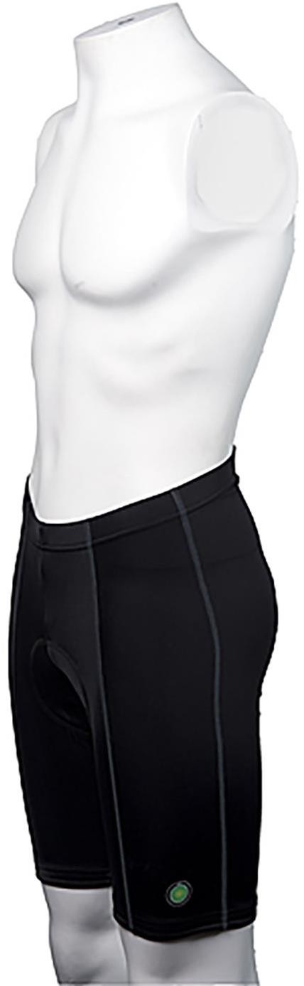Ride Clothing Prologue Premier Shorts product image