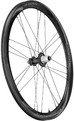 Shamal Carbon Disc 2-Way Tubeless Wheelset image 6