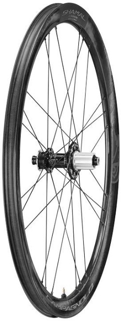 Shamal Carbon Disc 2-Way Tubeless Wheelset image 7