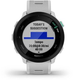 Forerunner 55 GPS Watch image 8