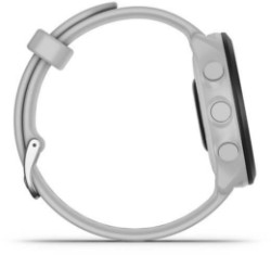 Forerunner 55 GPS Watch image 10