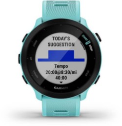 Forerunner 55 GPS Watch image 16