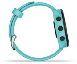 Forerunner 55 GPS Watch image 18