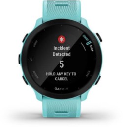 Forerunner 55 GPS Watch image 21
