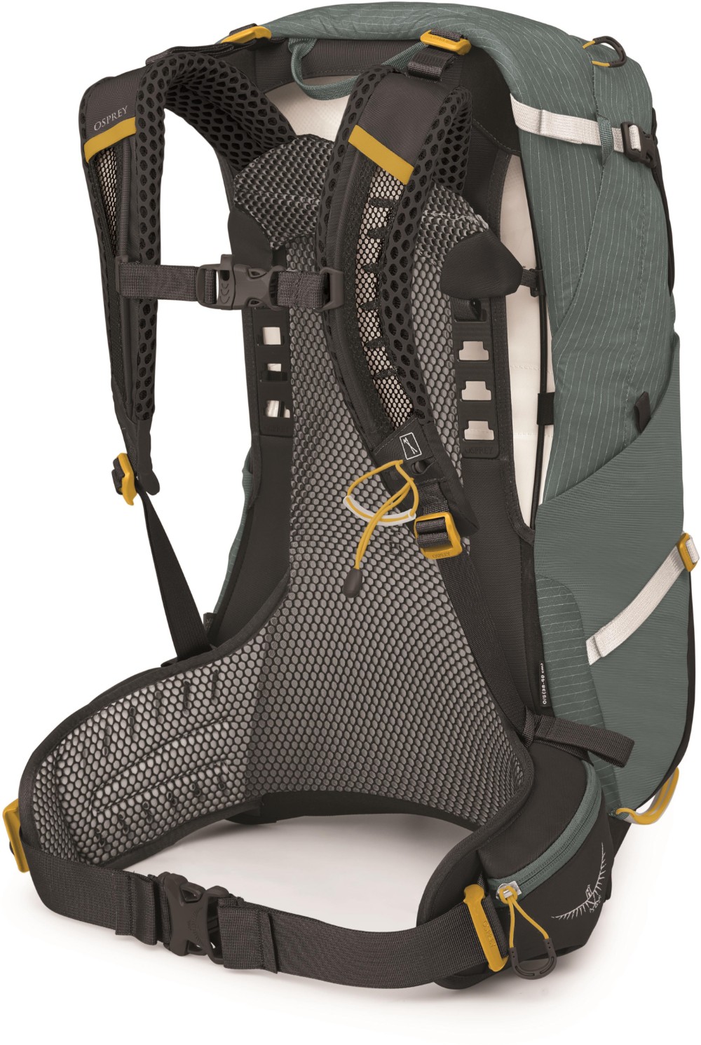 Sirrus 24 Womens Hiking Backpack image 2