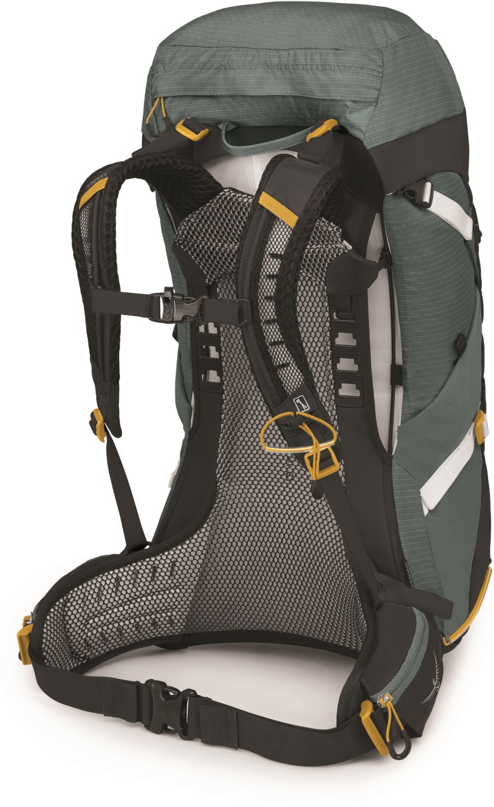Sirrus 36 Womens Hiking Backpack image 2