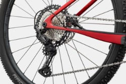 Scalpel HT Carbon 2 Mountain Bike 2024 - Hardtail MTB image 3