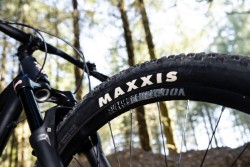 Bizango 29" Mountain Bike 2023 - Hardtail MTB image 4