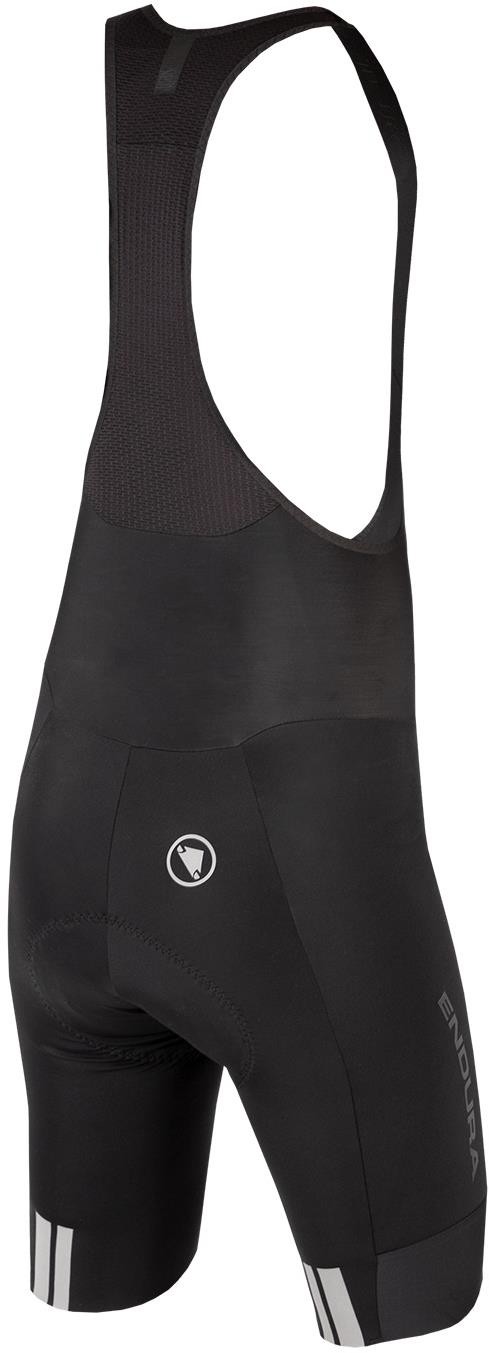 FS260 Bibshorts image 1