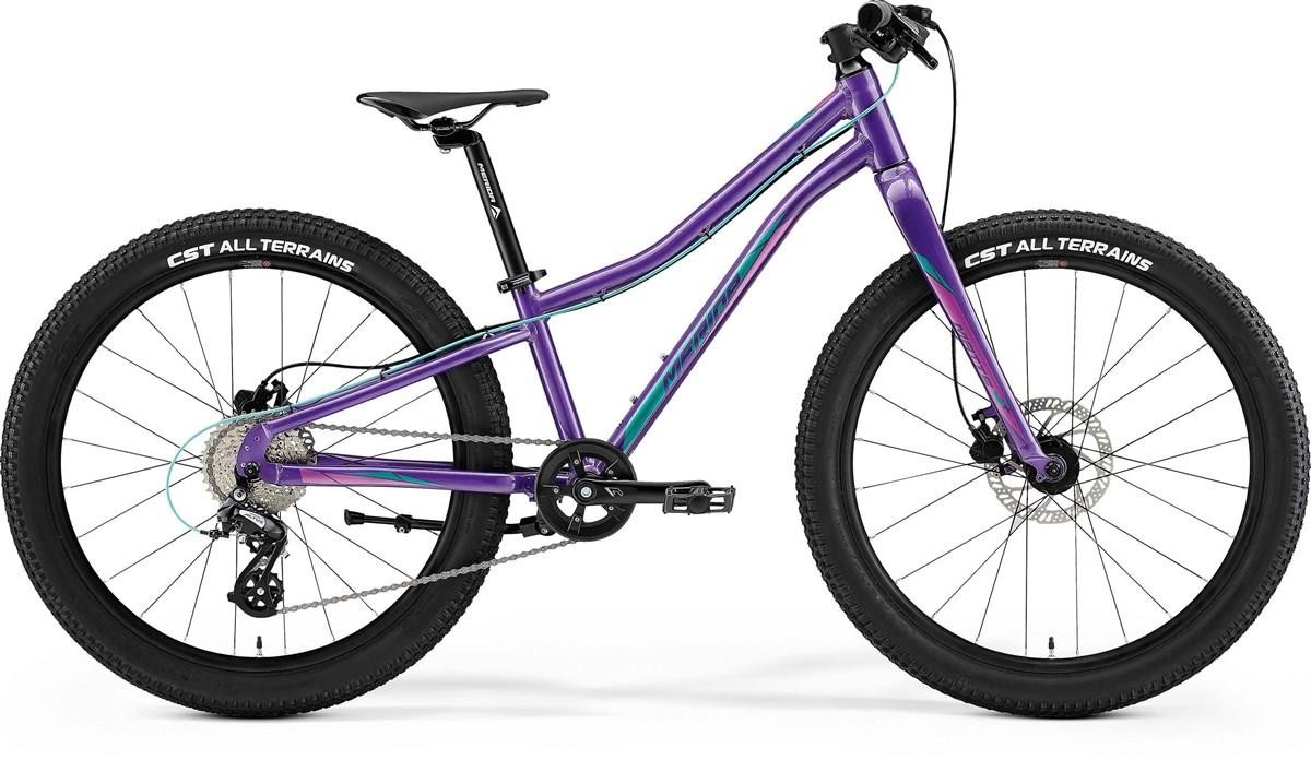 Merida Matts J.24 - Nearly New 2023 - Junior Bike product image