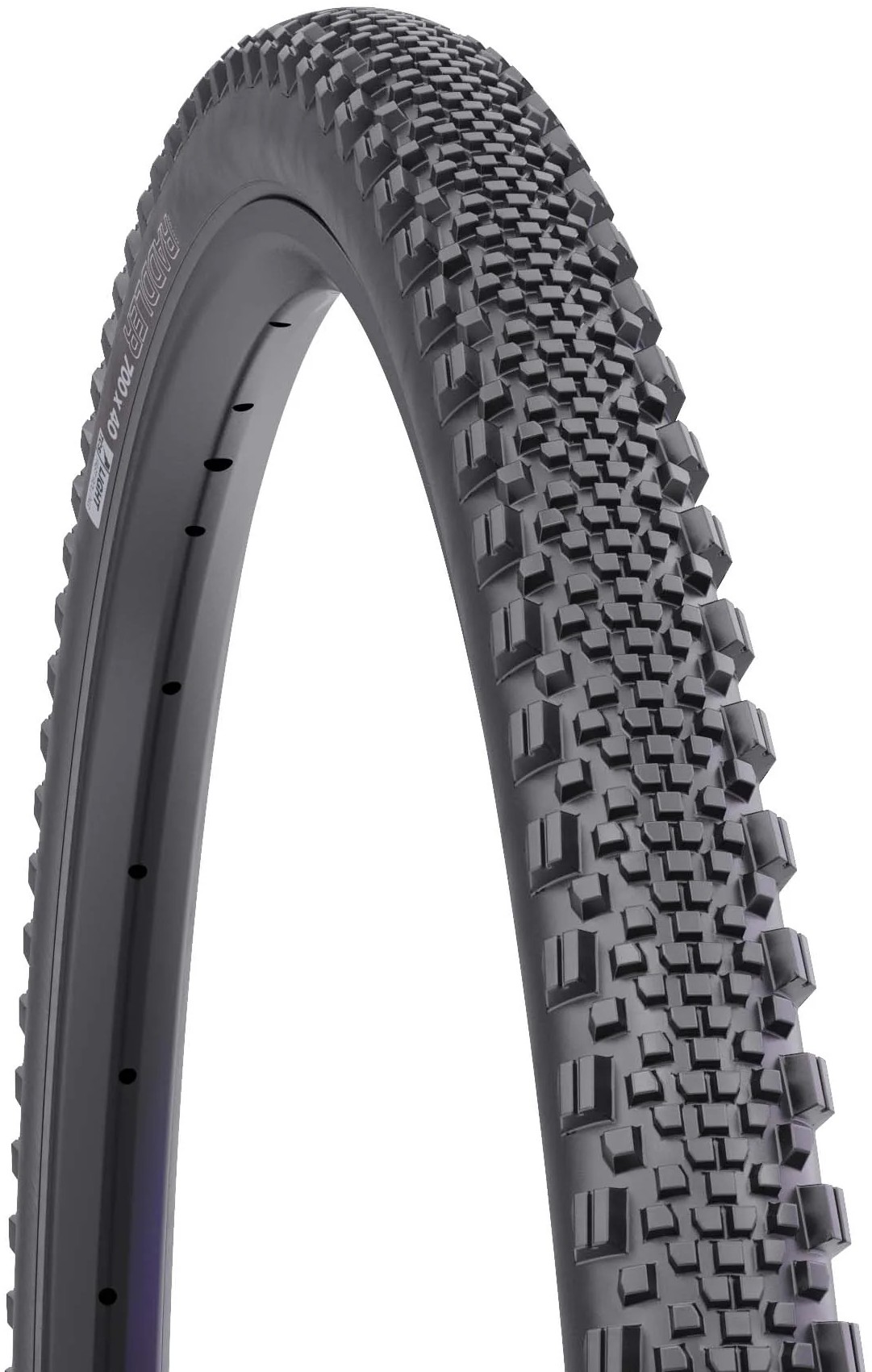 WTB Raddler TCS Light/Fast Rolling 60tpi Dual DNA 700c Tyre product image