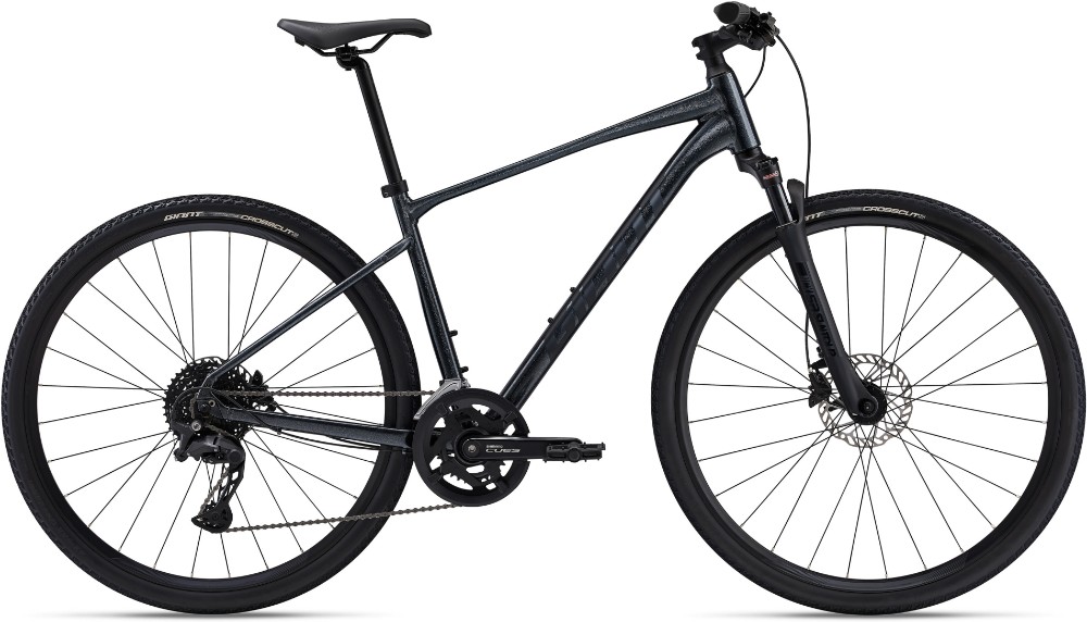 Roam Disc 1 2024 - Hybrid Sports Bike image 0