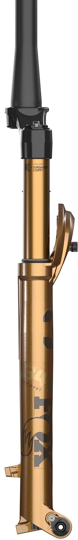 34 Float SC Fact 29 Grip SL KaboltSL110 Tapered 44mm Limited Edition Forks image 2