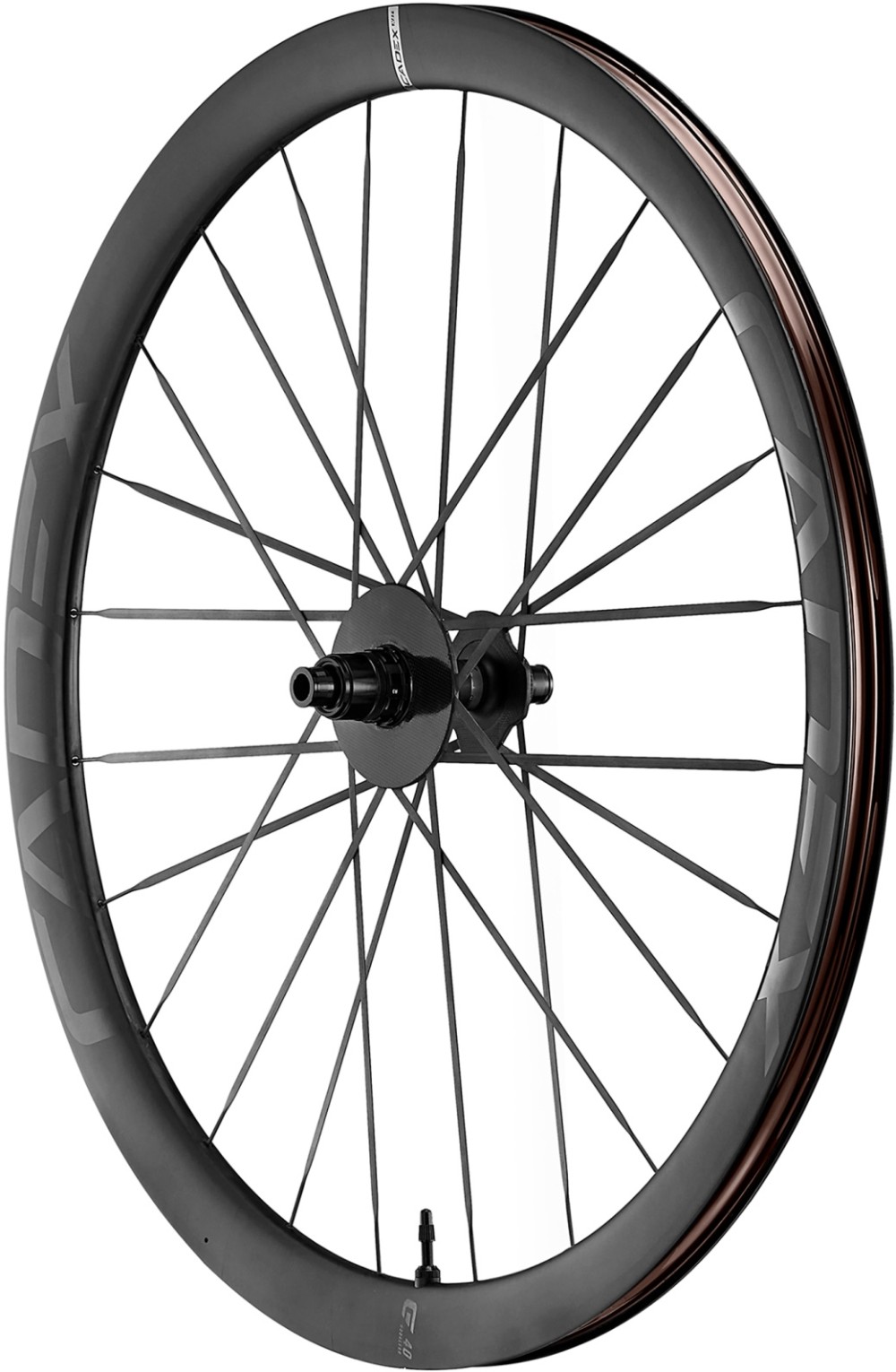 40 Max Disc Brake 700c Rear Wheel image 0