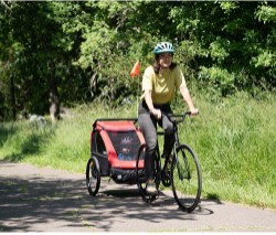 Honey Bee Child Trailer/Stroller image 6