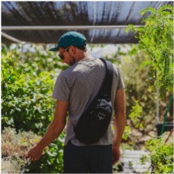 Daylite Sling Backpack image 4