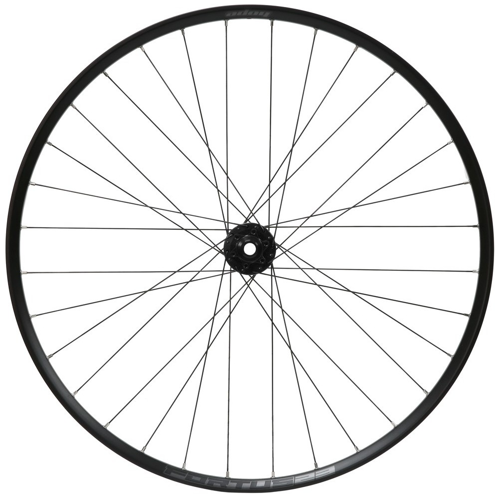 Fortus 23W Pro 5 6 Bolt 27.5" Front Wheel image 0
