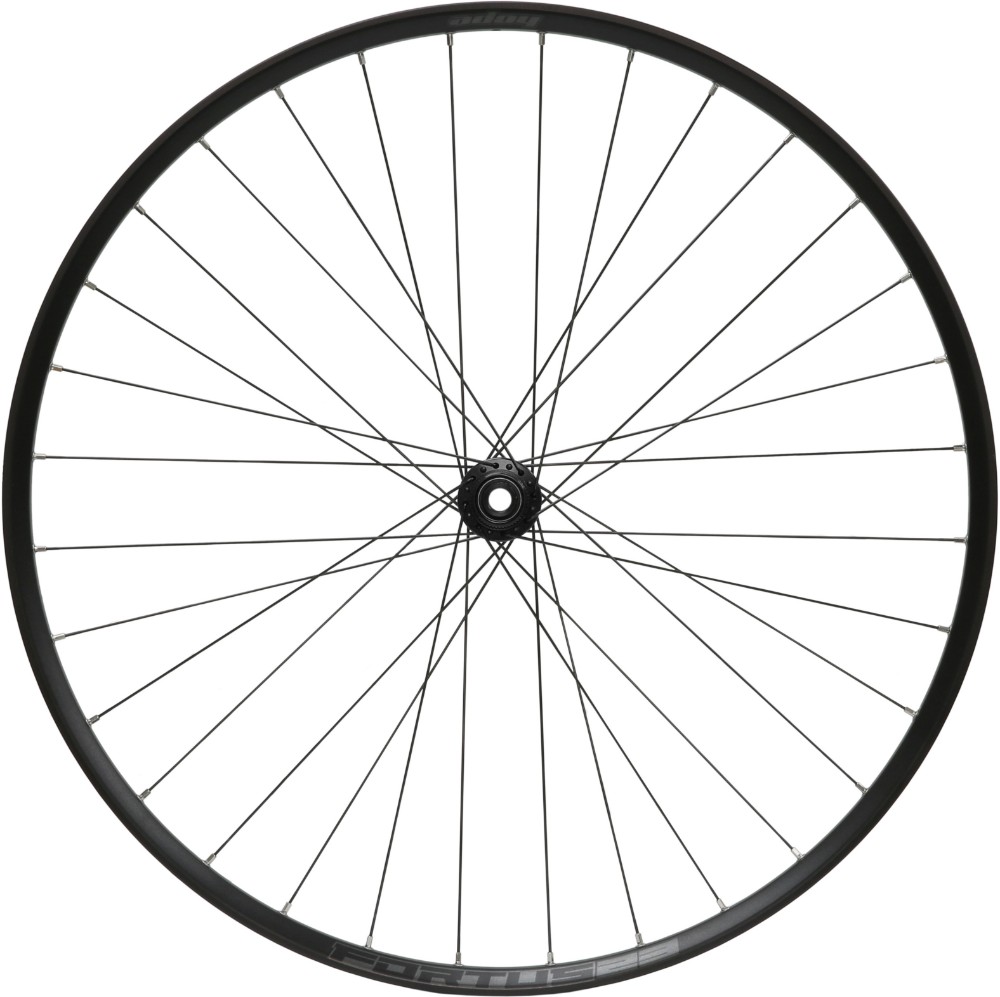 Fortus 23W Pro 5 Centre Lock BOOST 29" Front Wheel image 0