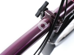 Electric P Line 12 Speed With Roller Frame 2025 - Electric Folding Bike image 3
