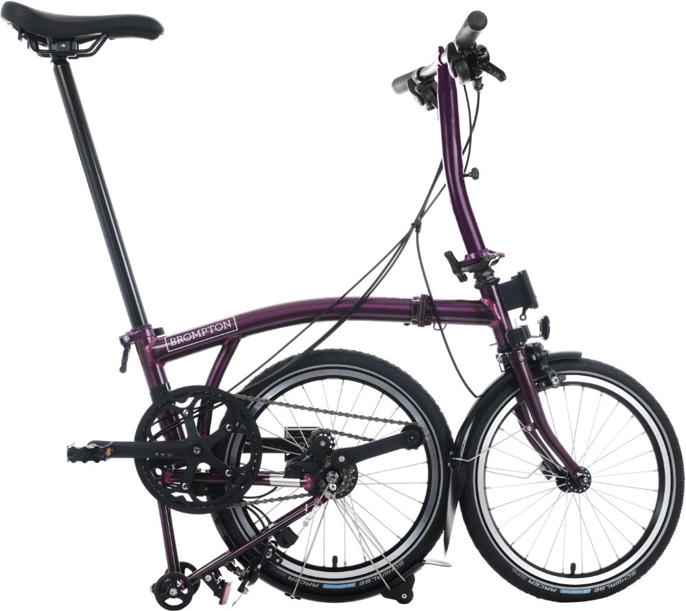 P Line 12 Speed 2026 - Folding Bike image 2