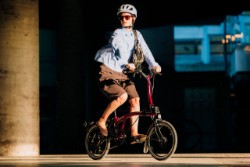 P Line 4 Speed With Roller Frame 2026 - Folding Bike image 6